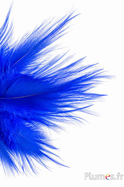 Kraanvogel - 12-14 cm - blauw